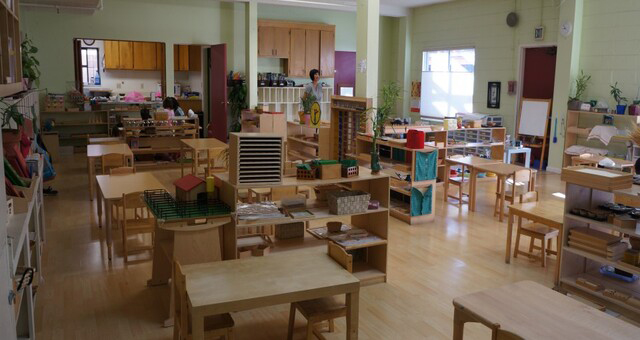 American International Montessori School