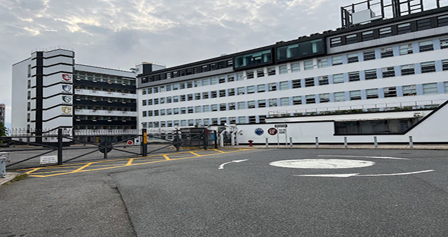 Sha Tin Junior School