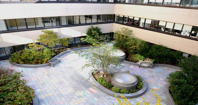 United Nations International School - Manhattan Campus